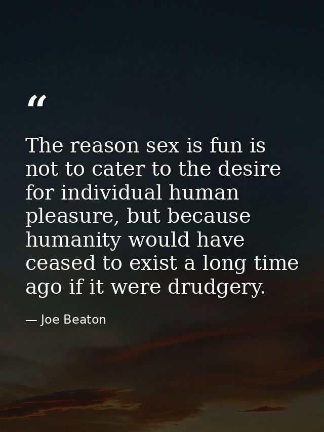 The reason sex is fun is not to cater to the desire for individual human pleasure, but because humanity would have cease — Joe Beaton