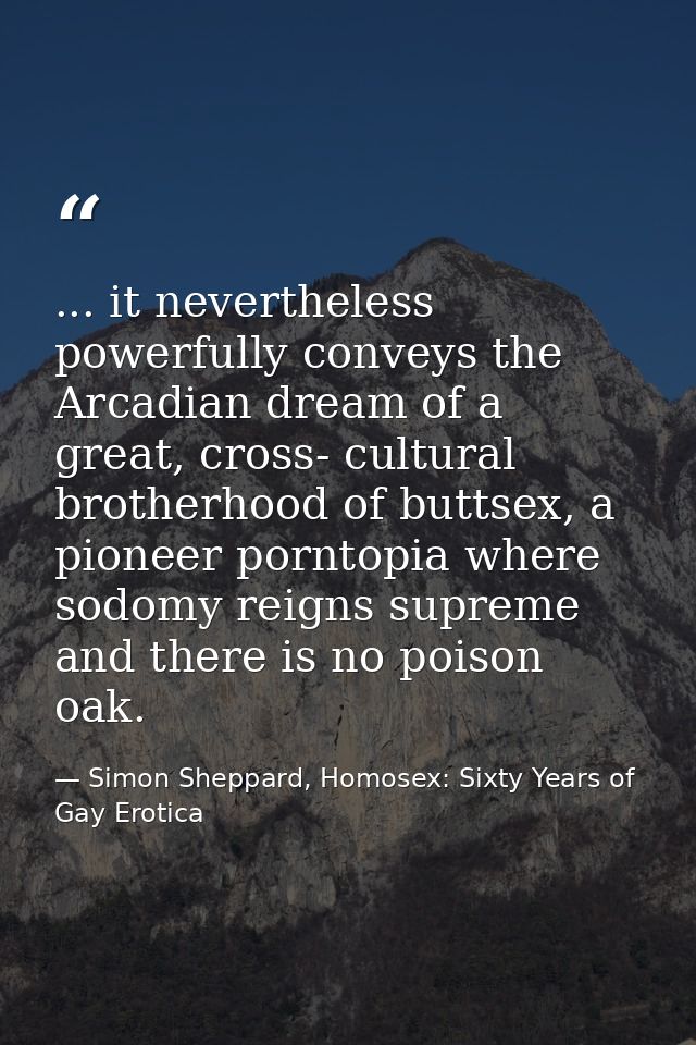 ... it nevertheless powerfully conveys the Arcadian dream of a great, cross- cultural brotherhood of buttsex, a pioneer  — Simon Sheppard, Homosex: Sixty Years of Gay Erotica