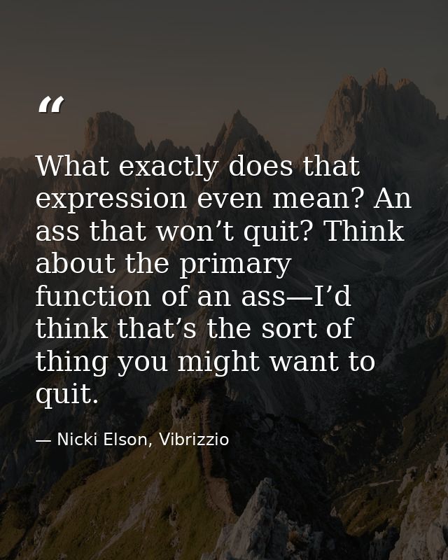 What exactly does that expression even mean? An ass that won’t quit? Think about the primary function of an ass—I’d thin — Nicki Elson, Vibrizzio