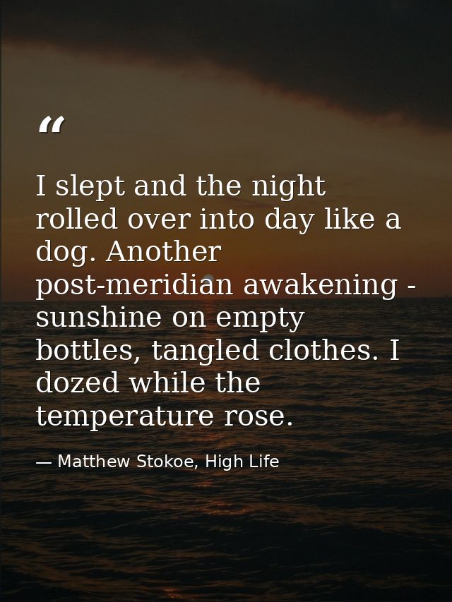 I slept and the night rolled over into day like a dog. Another post-meridian awakening - sunshine on empty bottles, tang — Matthew Stokoe, High Life