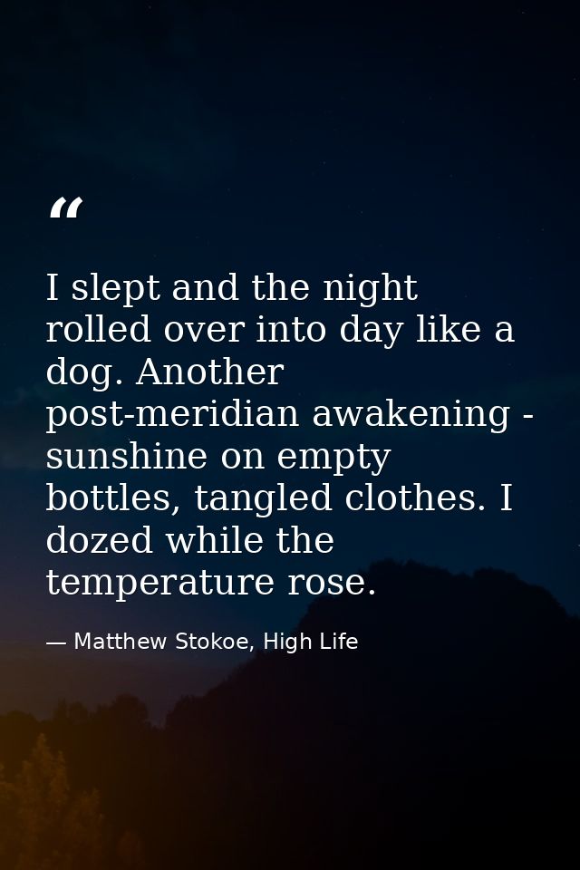 I slept and the night rolled over into day like a dog. Another post-meridian awakening - sunshine on empty bottles, tang — Matthew Stokoe, High Life