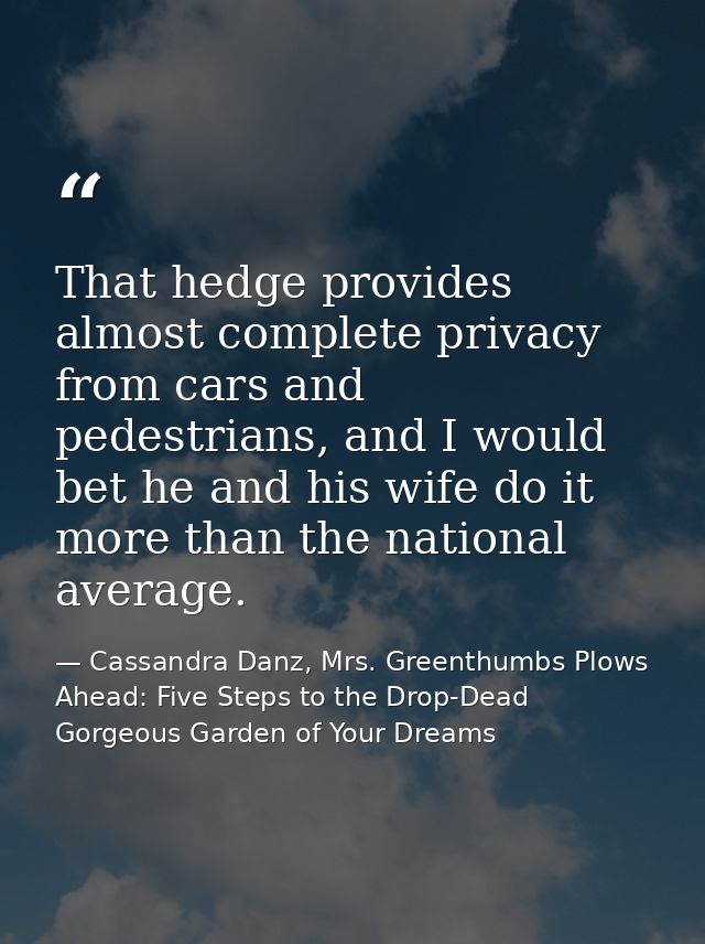 That hedge provides almost complete privacy from cars and pedestrians, and I would bet he and his wife do it more than t — Cassandra Danz, Mrs. Greenthumbs Plows Ahead: Five Steps to the Drop-Dead Gorgeous Garden of Your Dreams