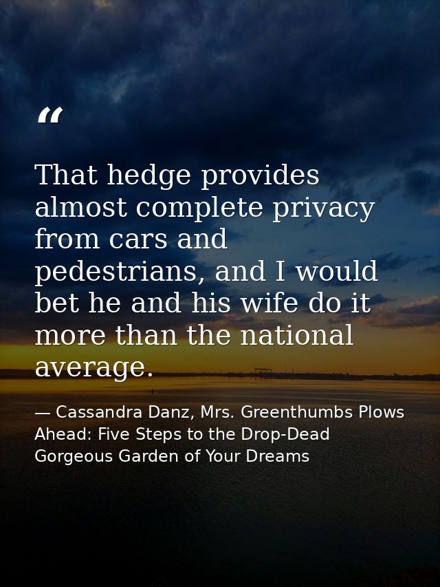 That hedge provides almost complete privacy from cars and pedestrians, and I would bet he and his wife do it more than t — Cassandra Danz, Mrs. Greenthumbs Plows Ahead: Five Steps to the Drop-Dead Gorgeous Garden of Your Dreams