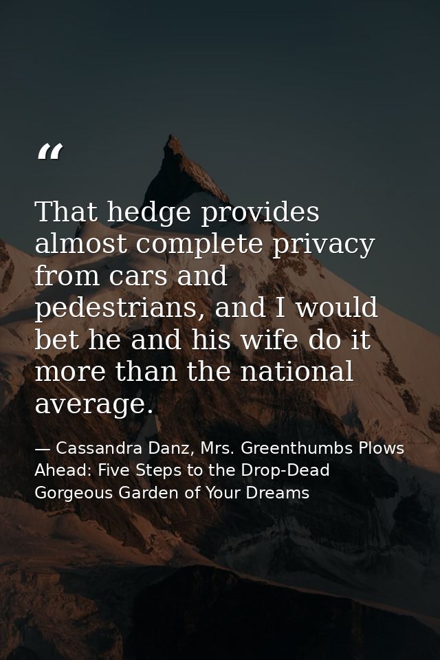 That hedge provides almost complete privacy from cars and pedestrians, and I would bet he and his wife do it more than t — Cassandra Danz, Mrs. Greenthumbs Plows Ahead: Five Steps to the Drop-Dead Gorgeous Garden of Your Dreams
