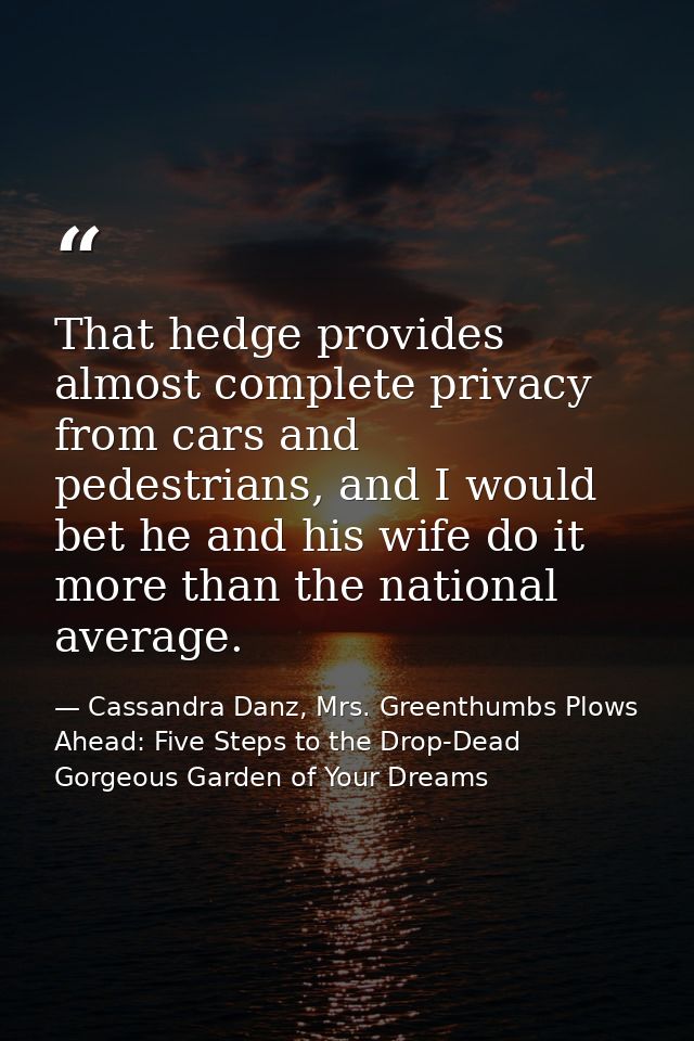 That hedge provides almost complete privacy from cars and pedestrians, and I would bet he and his wife do it more than t — Cassandra Danz, Mrs. Greenthumbs Plows Ahead: Five Steps to the Drop-Dead Gorgeous Garden of Your Dreams