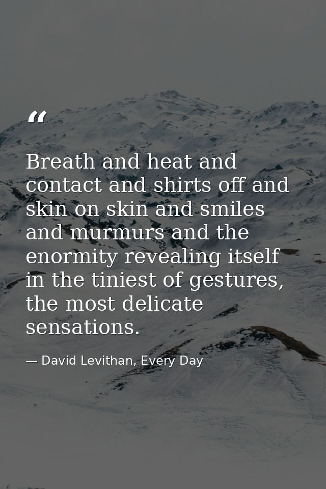 Breath and heat and contact and shirts off and skin on skin and smiles and murmurs and the enormity revealing itself in  — David Levithan, Every Day