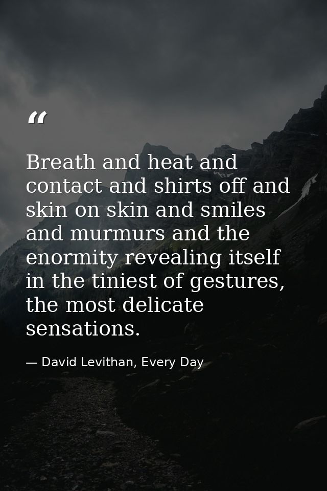 Breath and heat and contact and shirts off and skin on skin and smiles and murmurs and the enormity revealing itself in  — David Levithan, Every Day