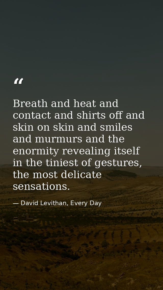 Breath and heat and contact and shirts off and skin on skin and smiles and murmurs and the enormity revealing itself in  — David Levithan, Every Day