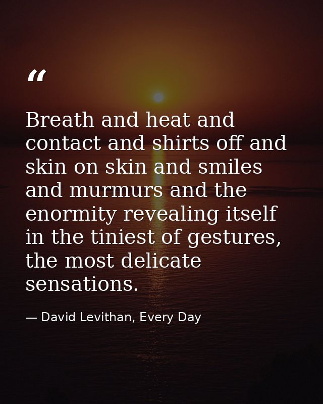 Breath and heat and contact and shirts off and skin on skin and smiles and murmurs and the enormity revealing itself in  — David Levithan, Every Day