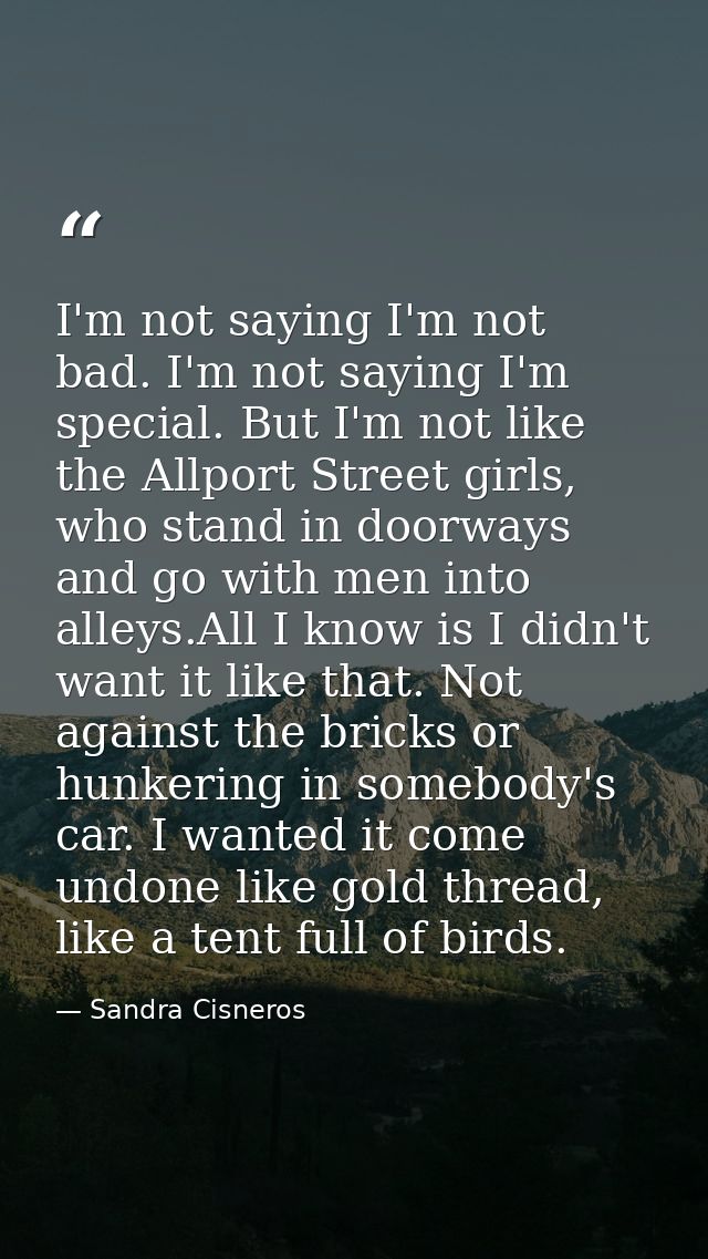 I'm not saying I'm not bad. I'm not saying I'm special. But I'm not like the Allport Street girls, who stand in doorways — Sandra Cisneros