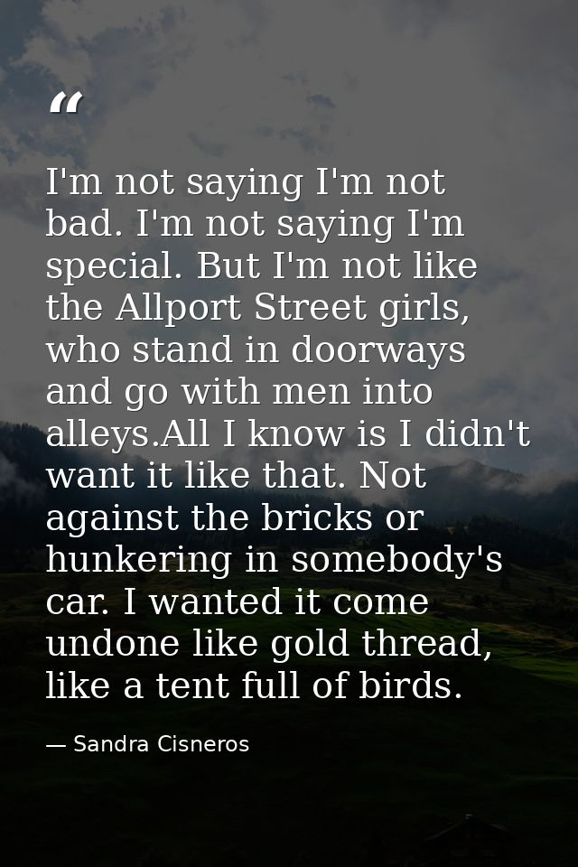 I'm not saying I'm not bad. I'm not saying I'm special. But I'm not like the Allport Street girls, who stand in doorways — Sandra Cisneros