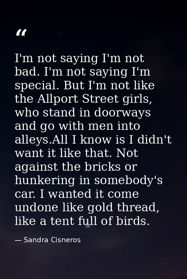 I'm not saying I'm not bad. I'm not saying I'm special. But I'm not like the Allport Street girls, who stand in doorways — Sandra Cisneros