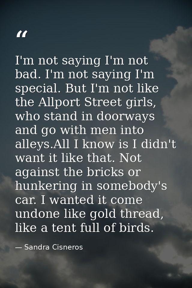 I'm not saying I'm not bad. I'm not saying I'm special. But I'm not like the Allport Street girls, who stand in doorways — Sandra Cisneros