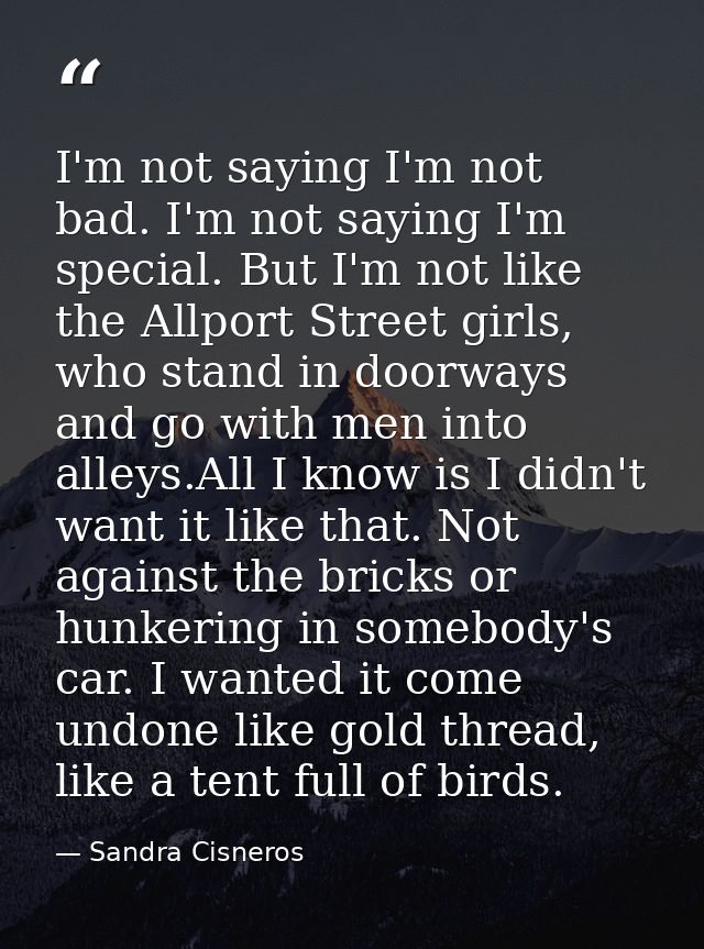 I'm not saying I'm not bad. I'm not saying I'm special. But I'm not like the Allport Street girls, who stand in doorways — Sandra Cisneros