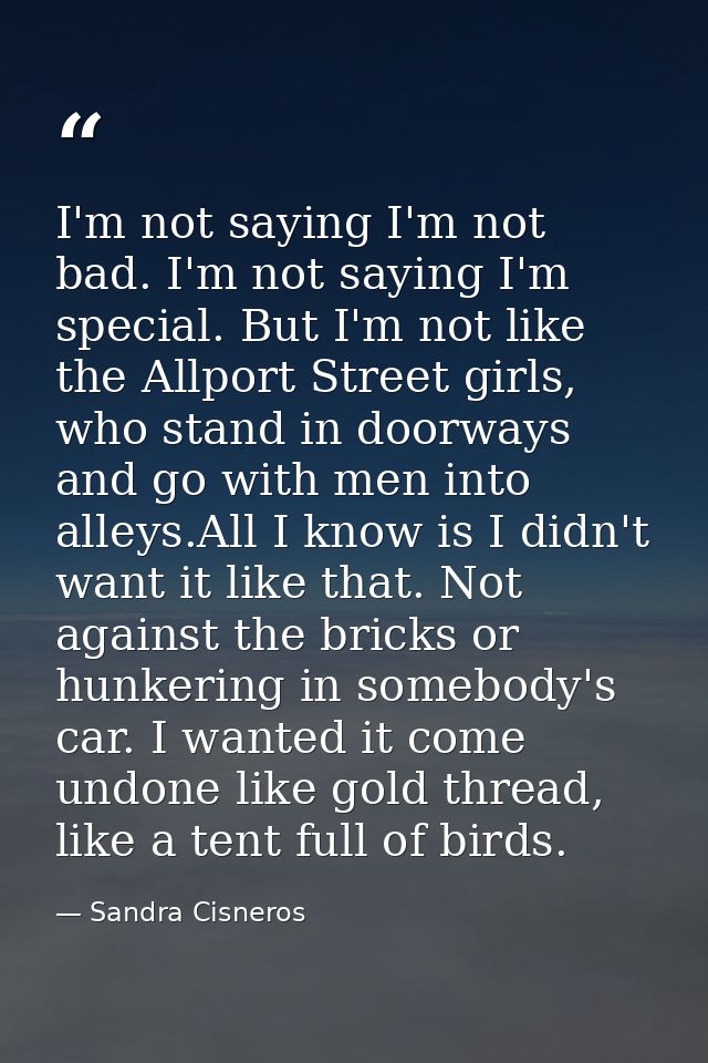 I'm not saying I'm not bad. I'm not saying I'm special. But I'm not like the Allport Street girls, who stand in doorways — Sandra Cisneros