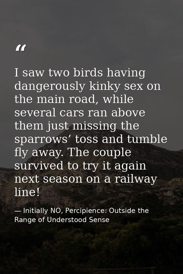 I saw two birds having dangerously kinky sex on the main road, while several cars ran above them just missing the sparro — Initially NO, Percipience: Outside the Range of Understood Sense