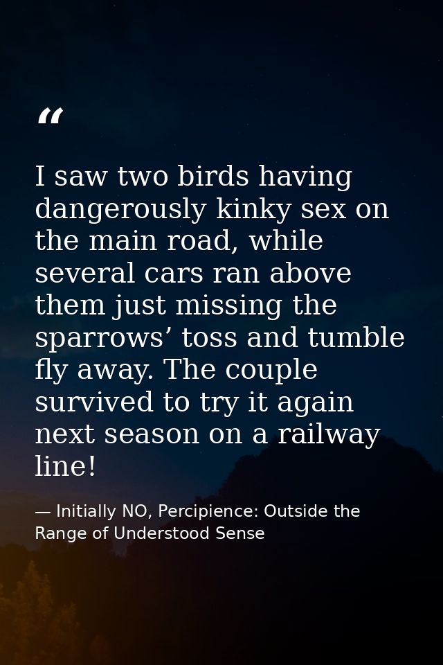 I saw two birds having dangerously kinky sex on the main road, while several cars ran above them just missing the sparro — Initially NO, Percipience: Outside the Range of Understood Sense