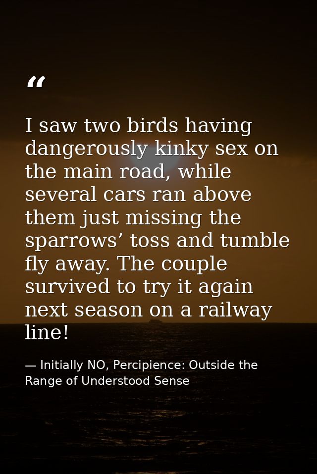 I saw two birds having dangerously kinky sex on the main road, while several cars ran above them just missing the sparro — Initially NO, Percipience: Outside the Range of Understood Sense