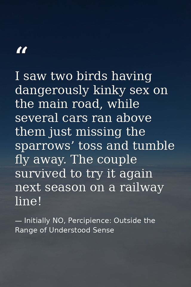 I saw two birds having dangerously kinky sex on the main road, while several cars ran above them just missing the sparro — Initially NO, Percipience: Outside the Range of Understood Sense
