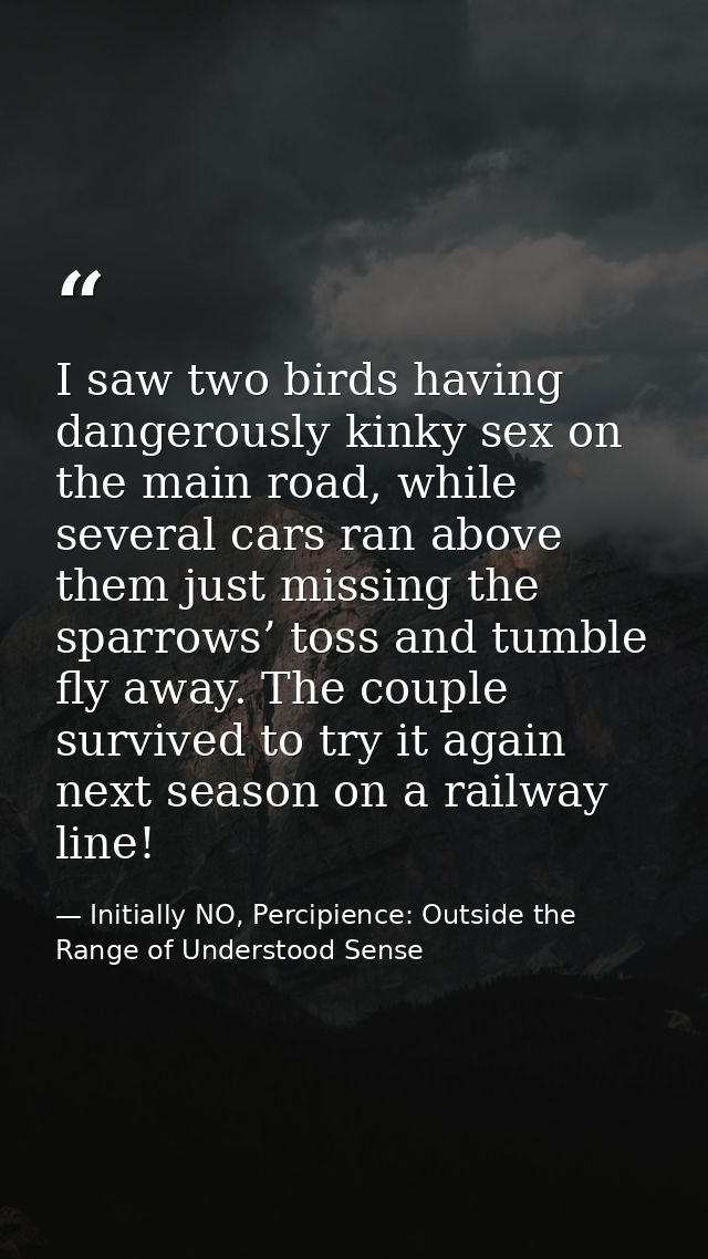 I saw two birds having dangerously kinky sex on the main road, while several cars ran above them just missing the sparro — Initially NO, Percipience: Outside the Range of Understood Sense
