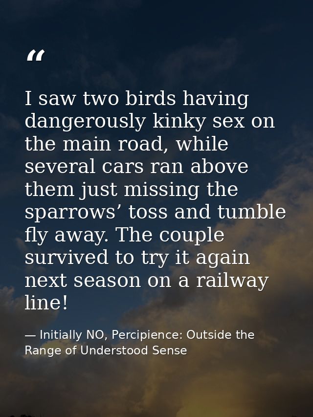 I saw two birds having dangerously kinky sex on the main road, while several cars ran above them just missing the sparro — Initially NO, Percipience: Outside the Range of Understood Sense