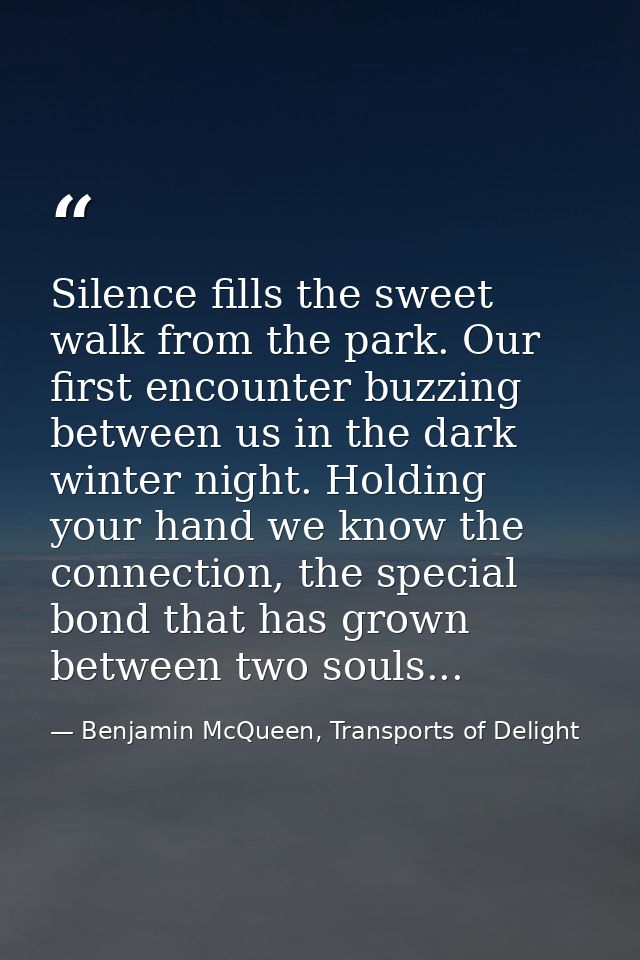 Silence fills the sweet walk from the park. Our first encounter buzzing between us in the dark winter night. Holding you — Benjamin McQueen, Transports of Delight