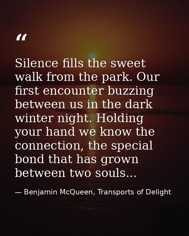 Silence fills the sweet walk from the park. Our first encounter buzzing between us in the dark winter night. Holding you — Benjamin McQueen, Transports of Delight