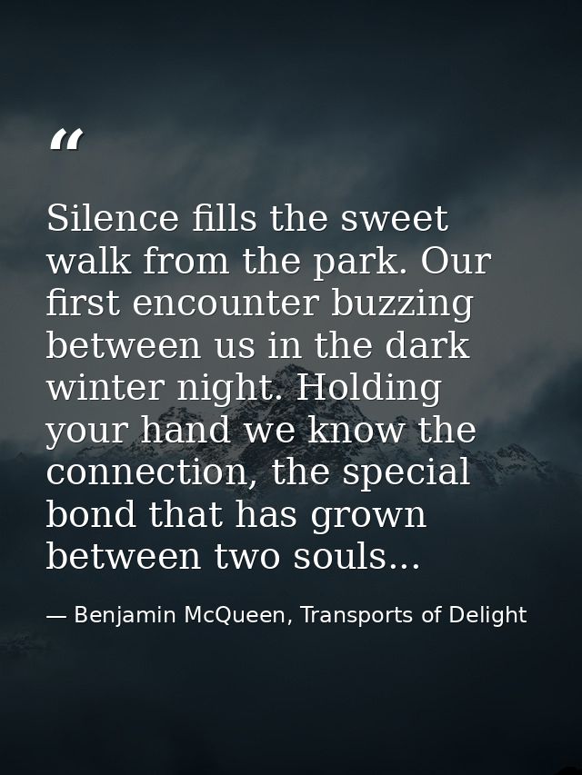 Silence fills the sweet walk from the park. Our first encounter buzzing between us in the dark winter night. Holding you — Benjamin McQueen, Transports of Delight