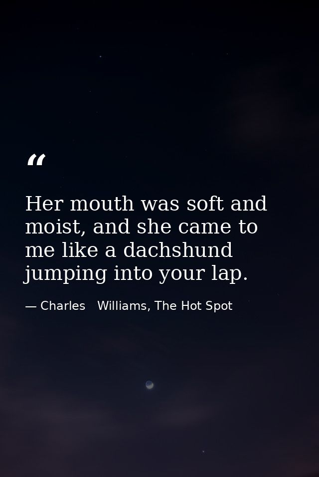 Her mouth was soft and moist, and she came to me like a dachshund jumping into your lap. — Charles   Williams, The Hot Spot