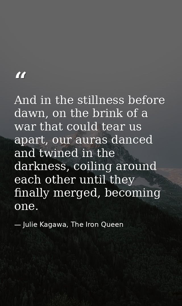 And in the stillness before dawn, on the brink of a war that could tear us apart, our auras danced and twined in the dar — Julie Kagawa, The Iron Queen