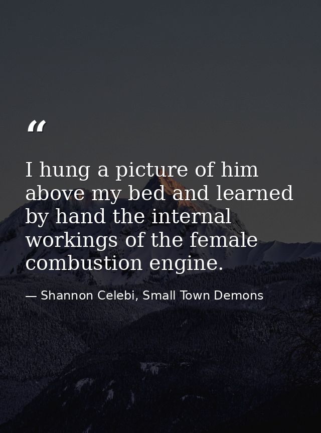I hung a picture of him above my bed and learned by hand the internal workings of the female combustion engine. — Shannon Celebi, Small Town Demons