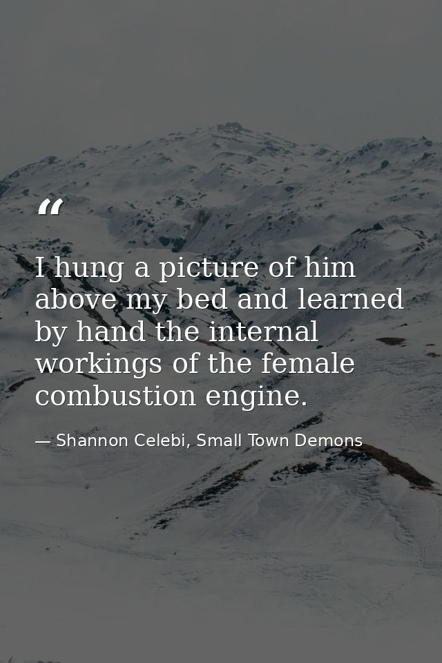I hung a picture of him above my bed and learned by hand the internal workings of the female combustion engine. — Shannon Celebi, Small Town Demons