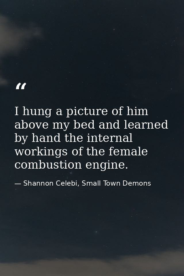 I hung a picture of him above my bed and learned by hand the internal workings of the female combustion engine. — Shannon Celebi, Small Town Demons