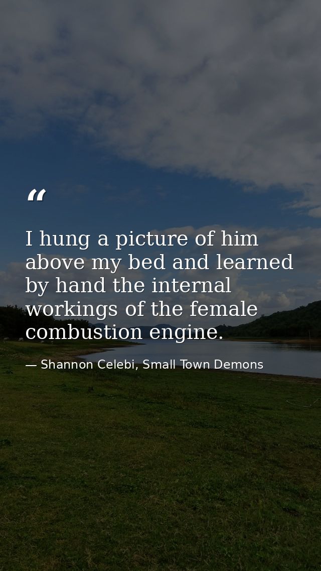 I hung a picture of him above my bed and learned by hand the internal workings of the female combustion engine. — Shannon Celebi, Small Town Demons