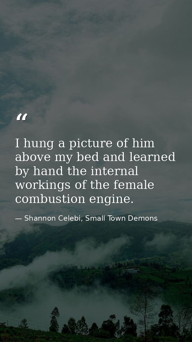 I hung a picture of him above my bed and learned by hand the internal workings of the female combustion engine. — Shannon Celebi, Small Town Demons