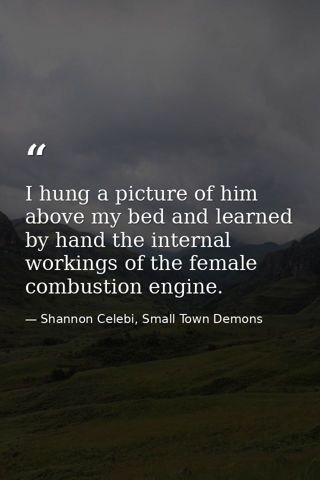 I hung a picture of him above my bed and learned by hand the internal workings of the female combustion engine. — Shannon Celebi, Small Town Demons