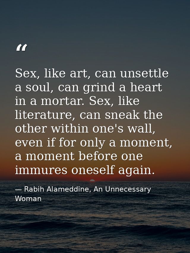Sex, like art, can unsettle a soul, can grind a heart in a mortar. Sex, like literature, can sneak the other within one' — Rabih Alameddine, An Unnecessary Woman