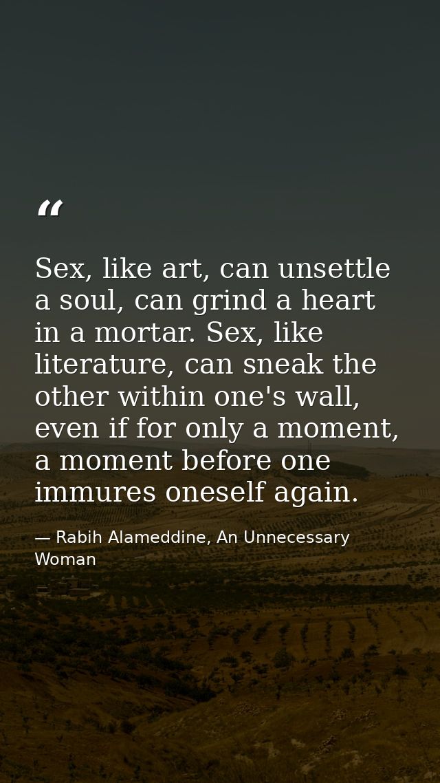 Sex, like art, can unsettle a soul, can grind a heart in a mortar. Sex, like literature, can sneak the other within one' — Rabih Alameddine, An Unnecessary Woman
