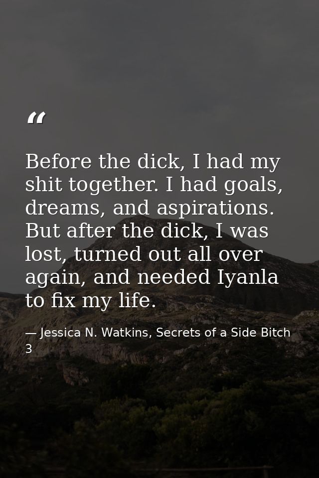 Before the dick, I had my shit together. I had goals, dreams, and aspirations. But after the dick, I was lost, turned ou — Jessica N. Watkins, Secrets of a Side Bitch 3
