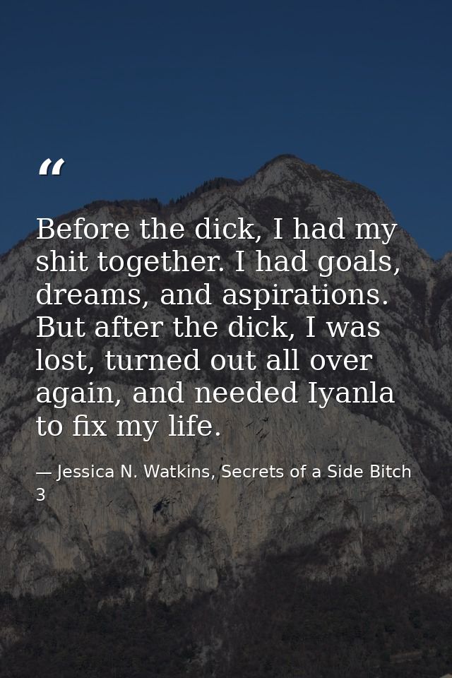 Before the dick, I had my shit together. I had goals, dreams, and aspirations. But after the dick, I was lost, turned ou — Jessica N. Watkins, Secrets of a Side Bitch 3