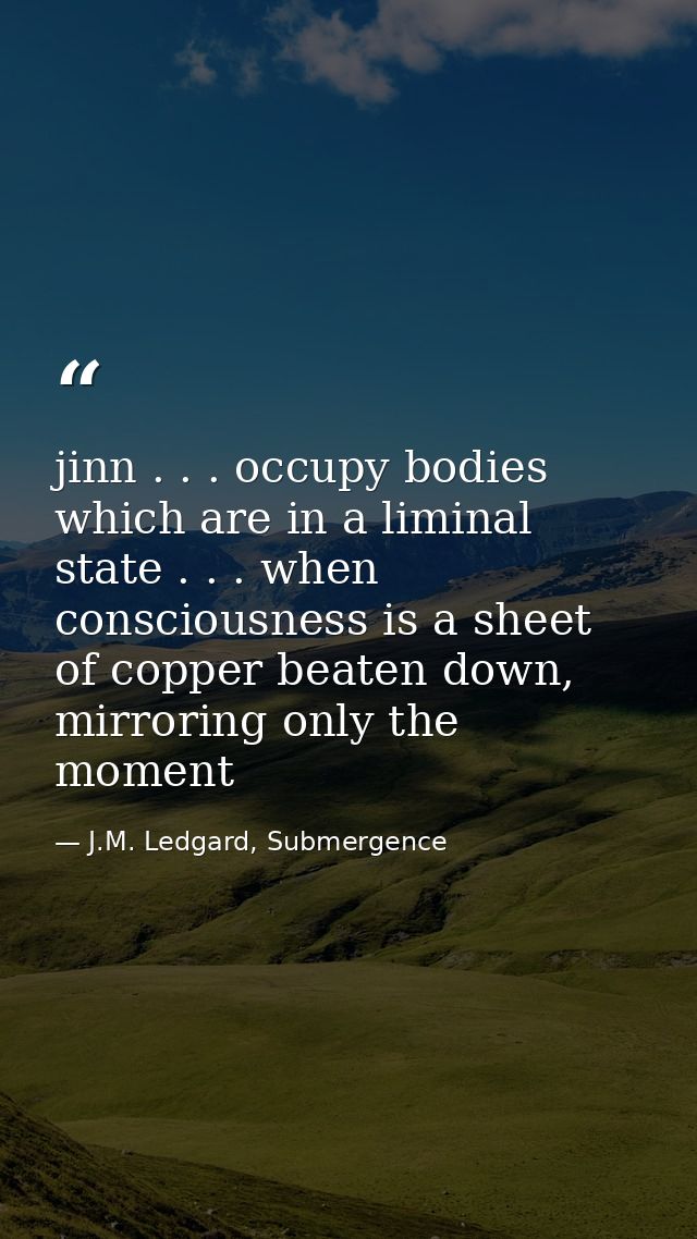 jinn . . . occupy bodies which are in a liminal state . . . when consciousness is a sheet of copper beaten down, mirrori — J.M. Ledgard, Submergence