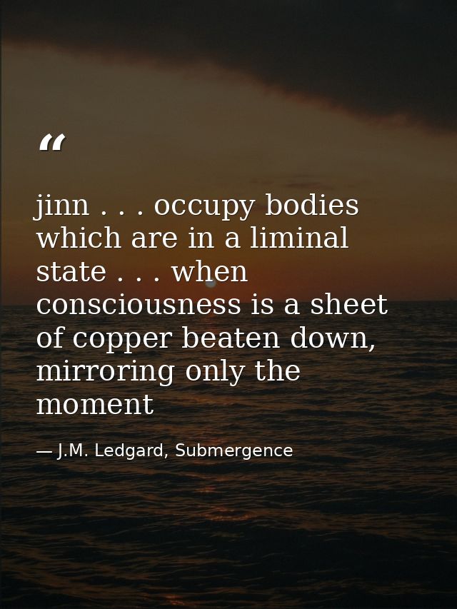 jinn . . . occupy bodies which are in a liminal state . . . when consciousness is a sheet of copper beaten down, mirrori — J.M. Ledgard, Submergence