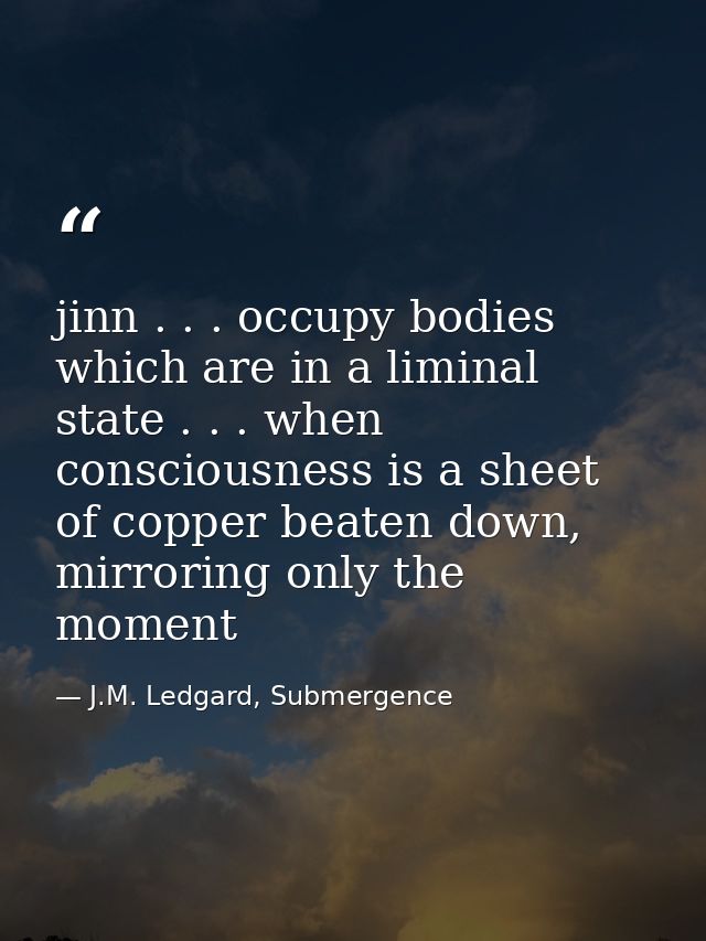 jinn . . . occupy bodies which are in a liminal state . . . when consciousness is a sheet of copper beaten down, mirrori — J.M. Ledgard, Submergence