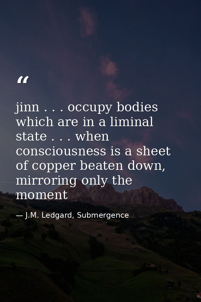jinn . . . occupy bodies which are in a liminal state . . . when consciousness is a sheet of copper beaten down, mirrori — J.M. Ledgard, Submergence