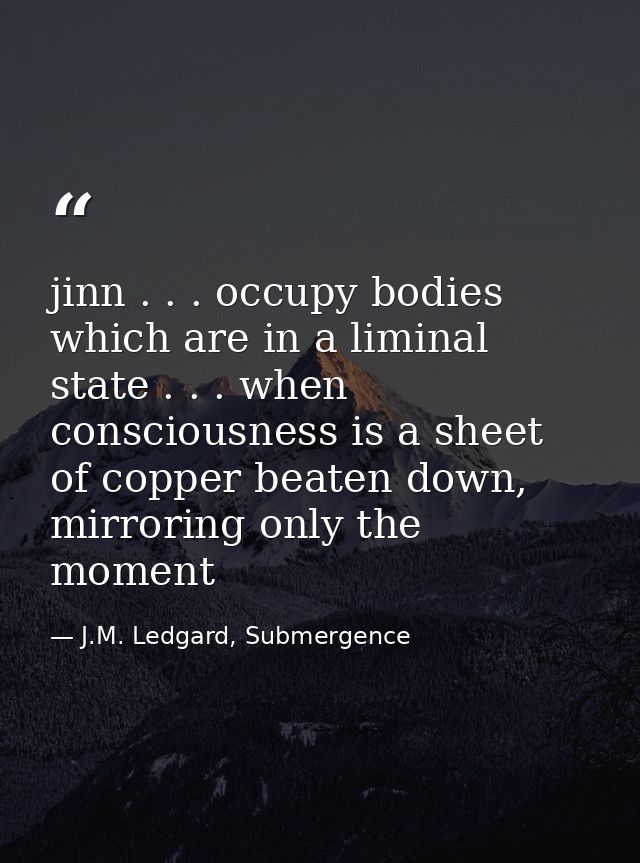 jinn . . . occupy bodies which are in a liminal state . . . when consciousness is a sheet of copper beaten down, mirrori — J.M. Ledgard, Submergence