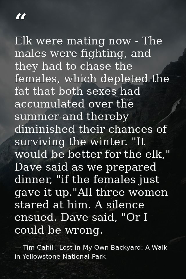 Elk were mating now - The males were fighting, and they had to chase the females, which depleted the fat that both sexes — Tim Cahill, Lost in My Own Backyard: A Walk in Yellowstone National Park