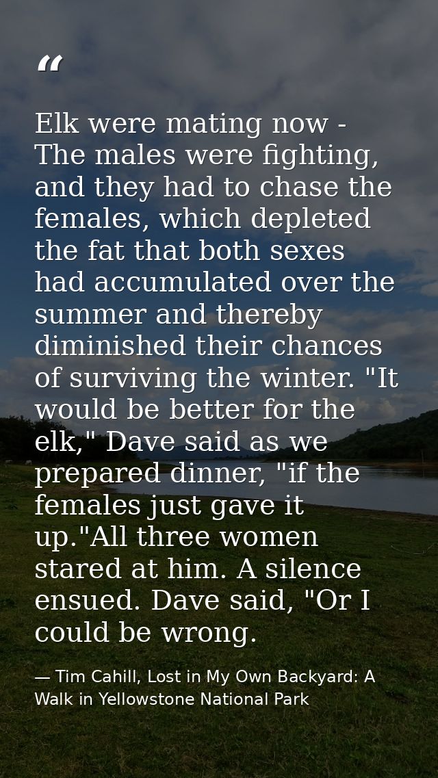 Elk were mating now - The males were fighting, and they had to chase the females, which depleted the fat that both sexes — Tim Cahill, Lost in My Own Backyard: A Walk in Yellowstone National Park