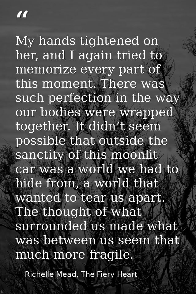 My hands tightened on her, and I again tried to memorize every part of this moment. There was such perfection in the way — Richelle Mead, The Fiery Heart