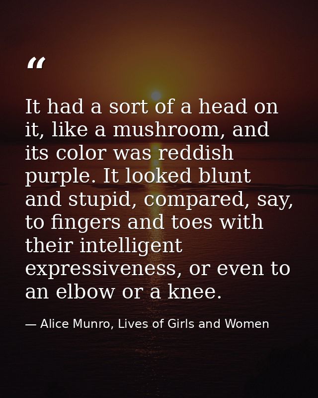 It had a sort of a head on it, like a mushroom, and its color was reddish purple. It looked blunt and stupid, compared,  — Alice Munro, Lives of Girls and Women