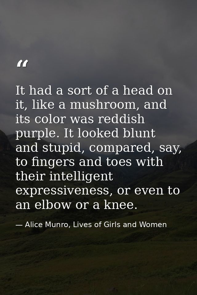It had a sort of a head on it, like a mushroom, and its color was reddish purple. It looked blunt and stupid, compared,  — Alice Munro, Lives of Girls and Women